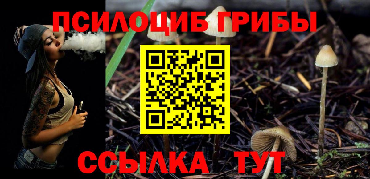 Похвистнево  Галлюциногенные грибы Cubensis  Вход с VPN 