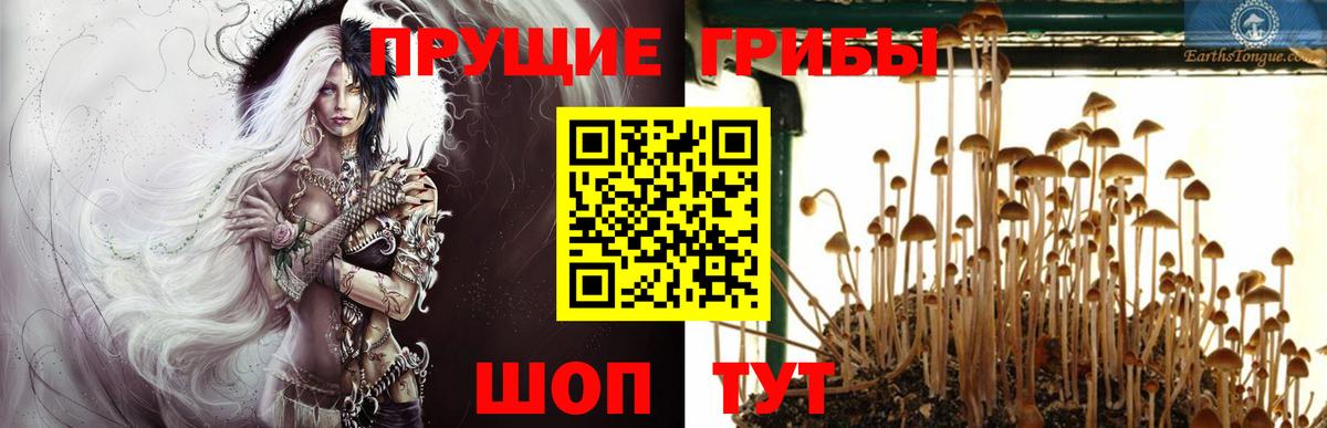 Галлюциногенные грибы Cubensis Похвистнево